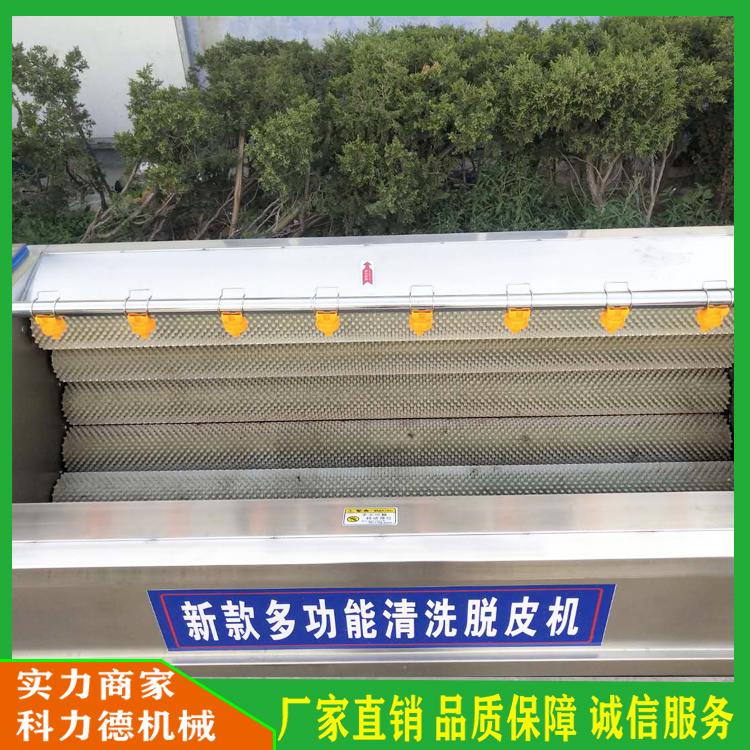 供应大型毛辊清洗机 不锈钢滚筒毛辊清洗机 牛蒡毛辊清洗机 毛刷去杂机 中药材净洗去泥机