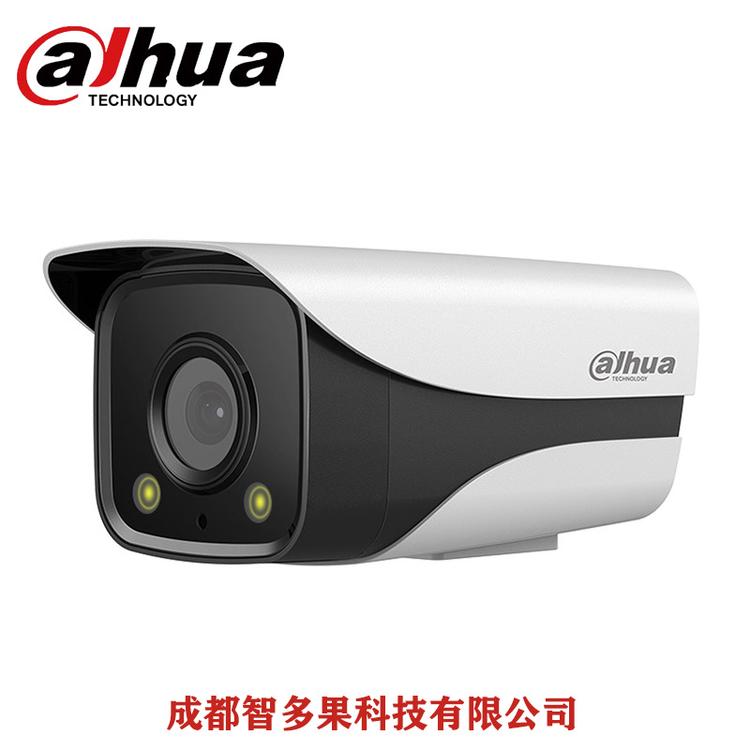 大华_HFW2433DM-LED_400万日夜全彩摄像机 白光双灯夜视补光