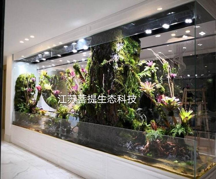 无锡热带雨林景观公司  室内生态雨林 室内雨林景观设计 水陆景观  热带雨林景观制作