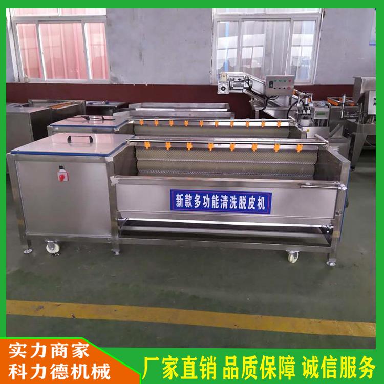 土豆去皮毛辊清洗机 萝卜清洗磨皮机 不锈钢葛根清洗机 根茎类蔬菜清洗机生产厂家