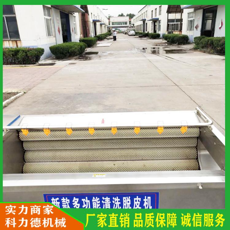 海瓜子清洗去泥机 多功能果蔬毛辊清洗机 优质毛辊清洗去皮机 水产贝类毛刷清洗机