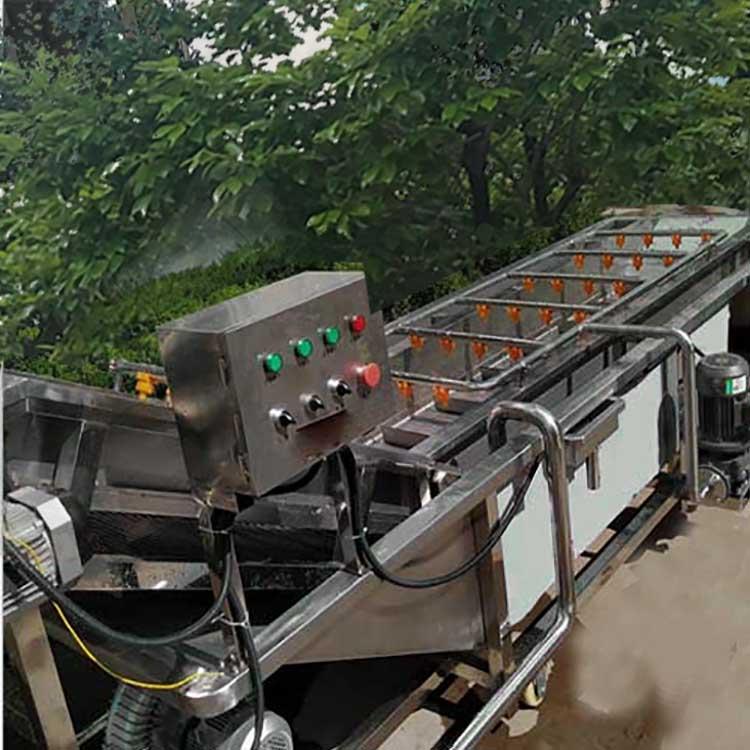 定做蔬菜清洗线 气泡清洗机 蔬菜清洗机价格 果蔬清洗机
