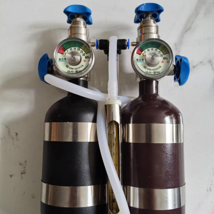厂家直供SH-2气体传感器校验装置便携仪校验装置现场校准标校装置甲烷传感器校验仪