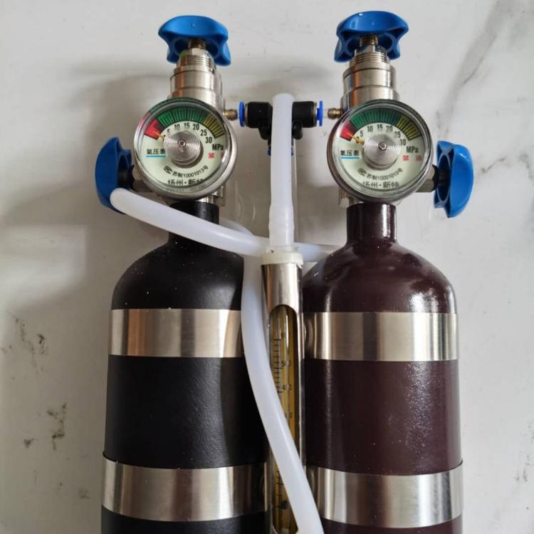 厂家直供XZJ-4气体传感器校验装置便携仪校验装置甲烷传感器校验仪传感器校验仪