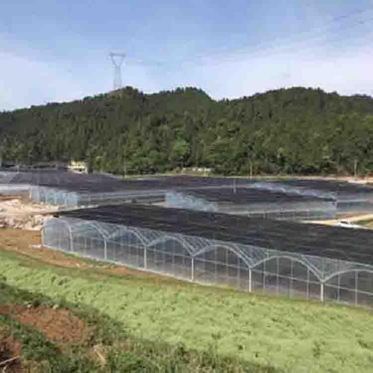 花卉温室大棚 按需设计安装 连栋温室建设