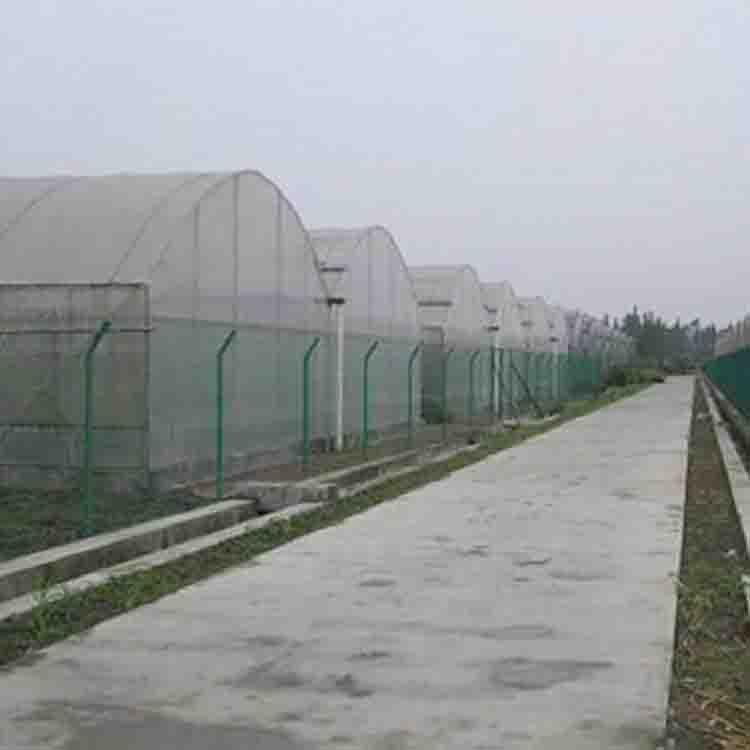 花卉温室大棚建造 蘑菇温室大棚-连栋温室大棚建造商 鸿运达