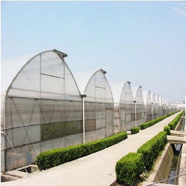 连栋温室大棚 按需设计安装 连栋温室建造商