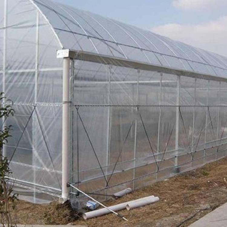 蔬菜薄膜大棚 日光薄膜温室报价 河北薄膜温室价格