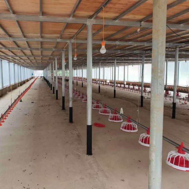 养鸡料线 肉鸡料线 养鸡喂料 养殖设备 养鸡设备
