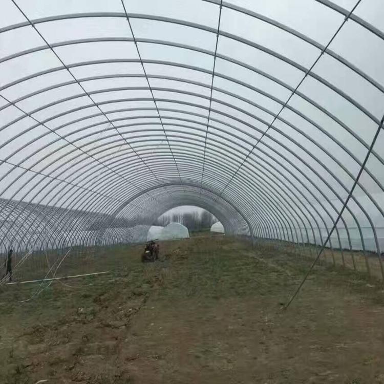 薄膜连栋温室大棚报价 智能温室大棚 镀锌管农业温室大棚 选择鋆成兴达