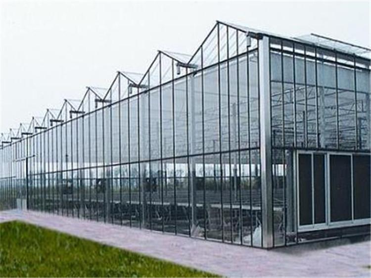 pc阳光板  农业蔬菜大棚  博盛温室
