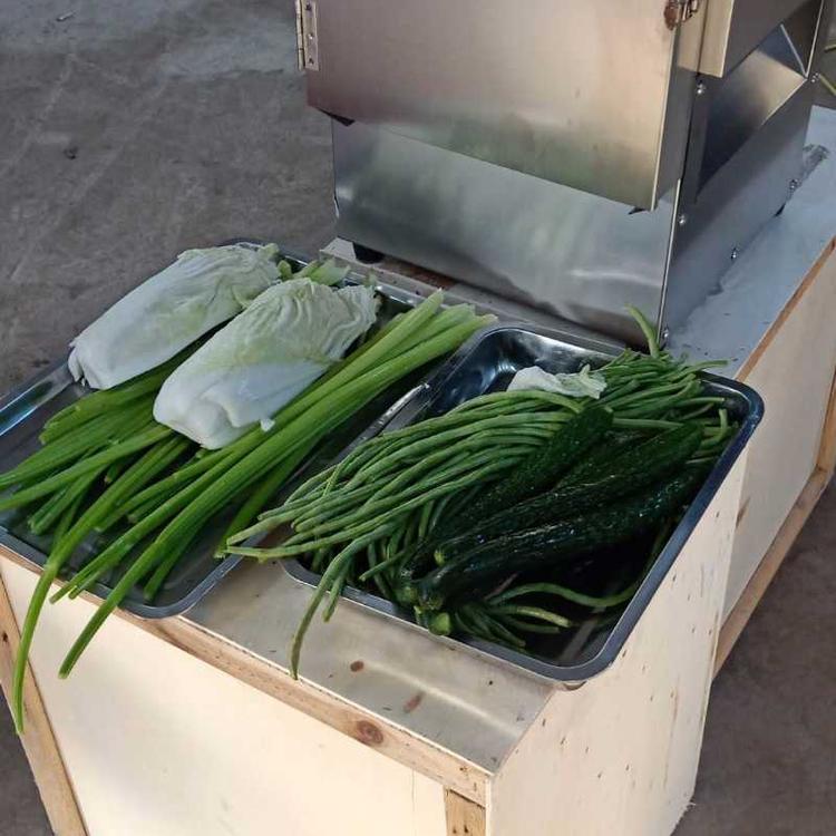 商用多功能切菜机 幼儿园用多功能切菜机 双头切菜机