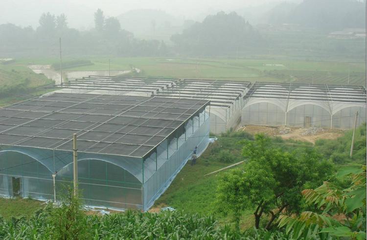 简易薄膜温室建造  天之蓝温室