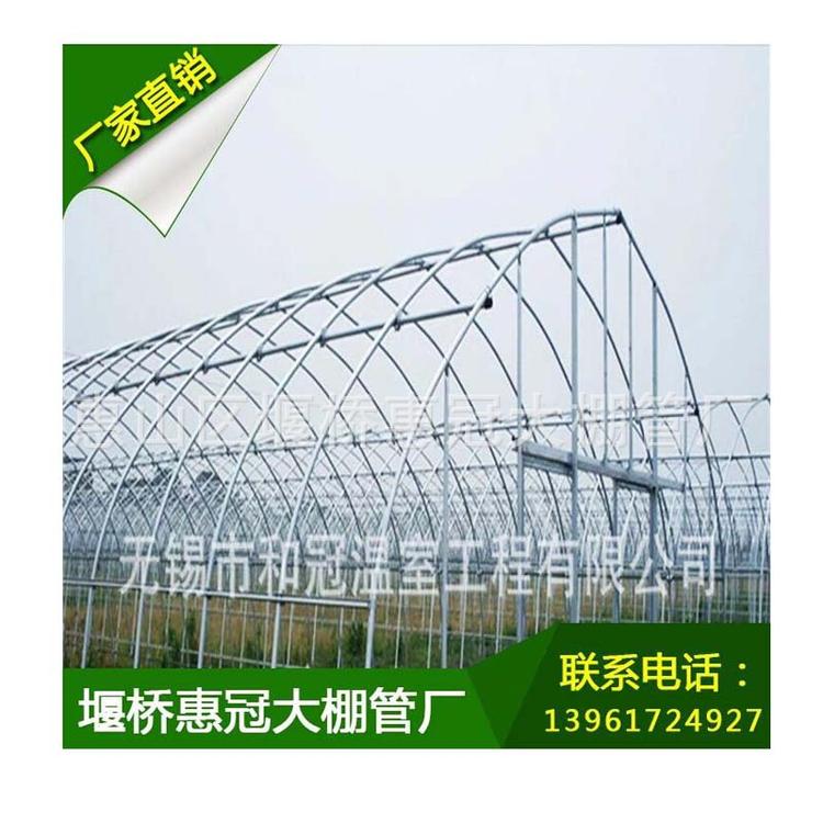 定制蔬菜养殖单体大棚骨架 批发塑料薄膜单体大棚