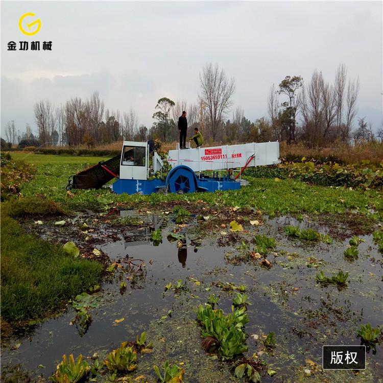 水浮莲收割船   中型全自动水葫芦打捞船