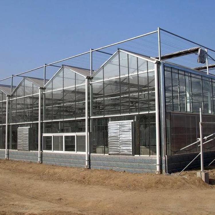 文洛温室 青州圣鼎承建设计安装【文洛温室】