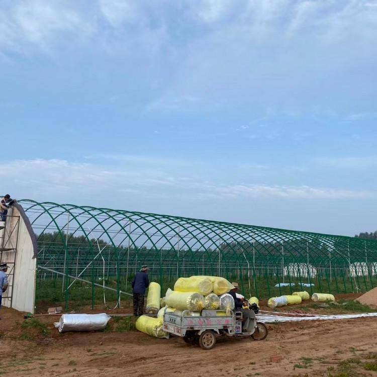 河南椭圆管养殖大棚