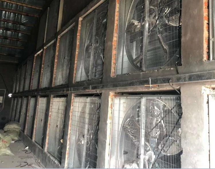 降温厂房车间工地降温排风换气系统 蔬菜大棚农业大棚温室降温 负压风机咨询安装 青州负压风机厂家爱信机械