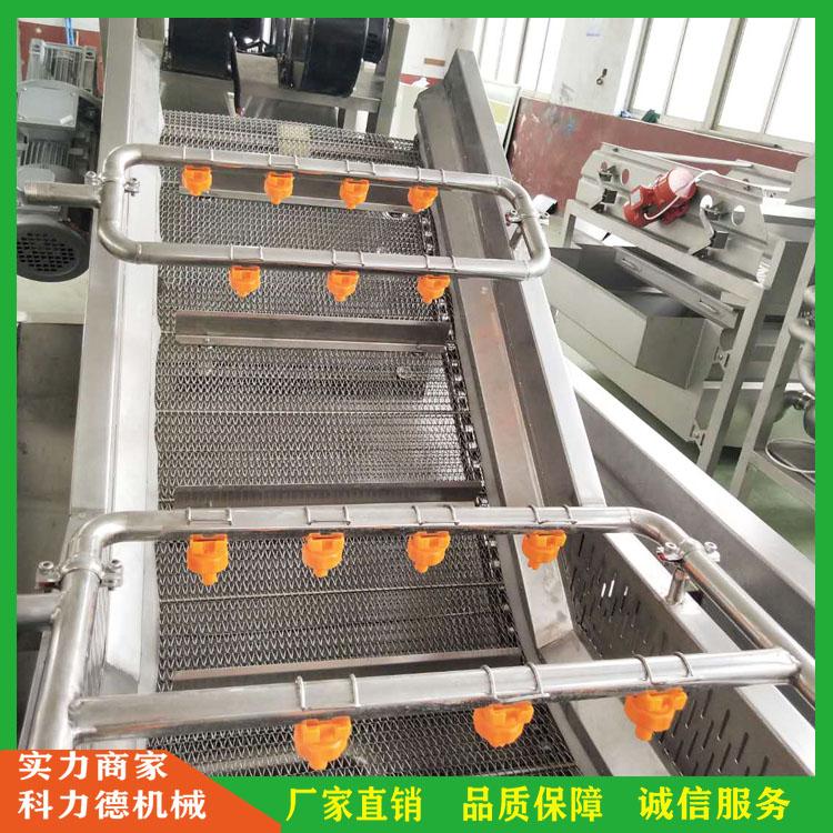 生产水产加工清洗生产线 海蜇头清洗机 海蜇皮气泡清洗机 全自动网板式气泡清洗机 山楂气泡清洗机