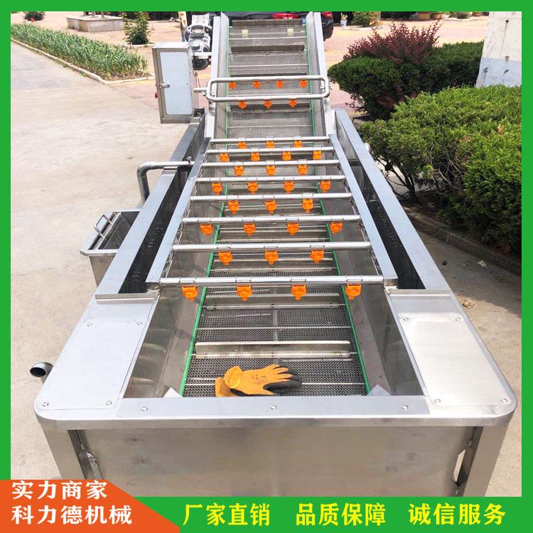 厂家直销气泡清洗去杂机 翻浪式果蔬清洗机 西兰花气泡清洗机 山楂清洗机 食品清洗设备生产线