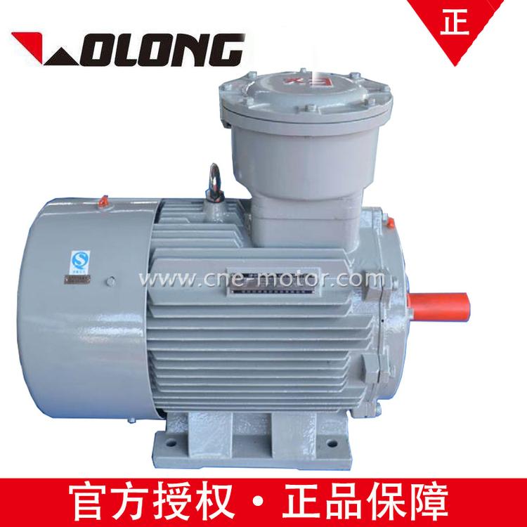 TBYX4-355L2-8 200KW/IP66/B5自启动式直销低压防爆电机南防CNE