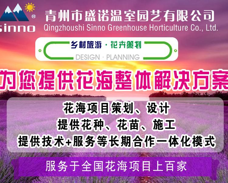 四季花海工程 景观设计及施工 选择盛诺园艺