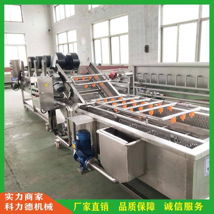 辣椒蔬菜自动高压喷淋清洗机 海鲜不锈钢气泡清洗机 三七气泡清洗机 花生气泡清洗机