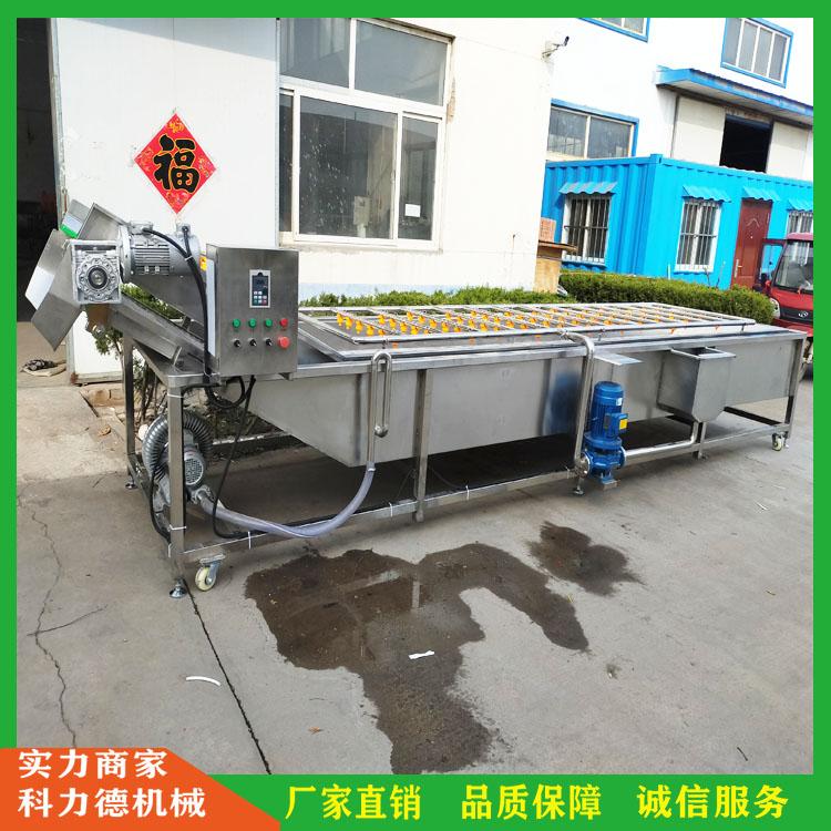 海带高压气泡清洗机 连续式大型洗菜机 海参气泡清洗机 多功能气泡翻浪清洗机
