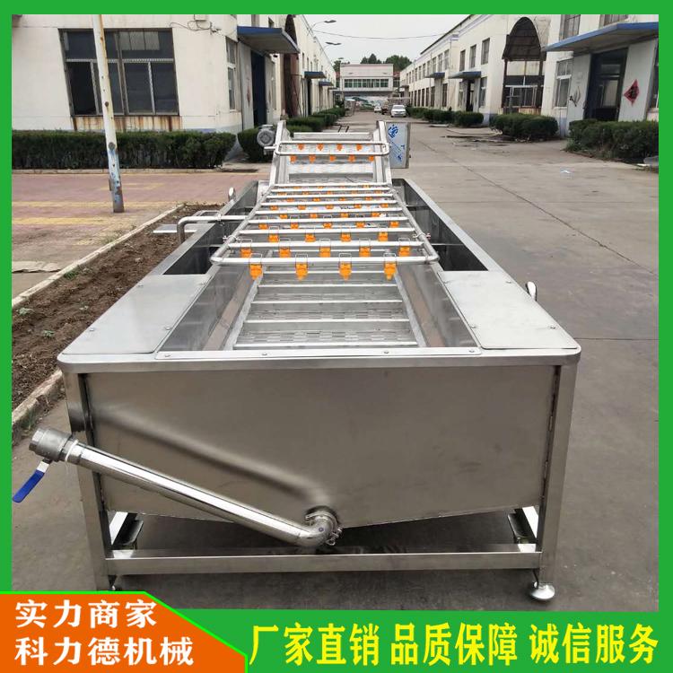 秋葵蔬菜清洗流水线 连续式竹笋蒸煮机 菌类清洗机大型连续式清洗机 净菜加工风干流水线
