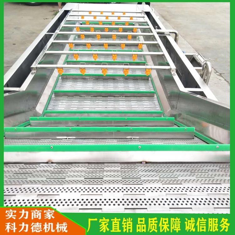 高温煮熟杀菌成套流水线 竹笋漂烫冷却流水线 竹笋喷淋清洗设备 山野菜鼓泡清洗机