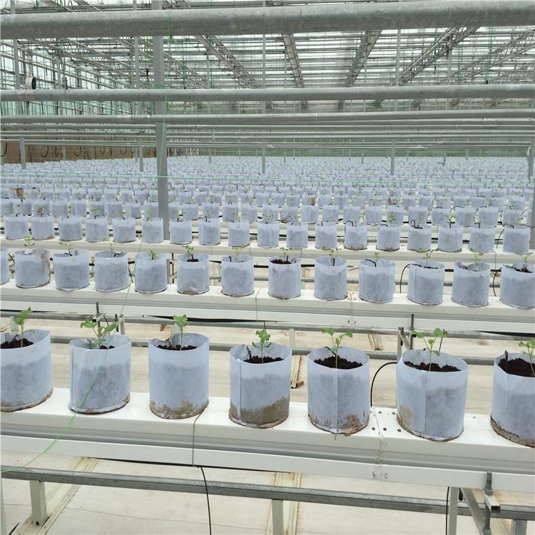 服务至上 温室荷兰模式果菜种植系统建设  荷兰模式无土栽培项目