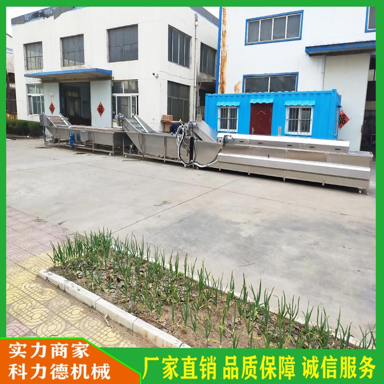 新鲜花椒清洗杀青流水线 山里红气泡筛选清洗预煮流水线 花椒漂烫保鲜生产线