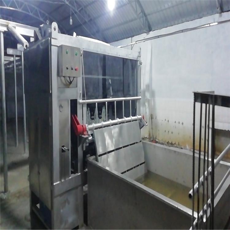 200型猪打毛机加工  盛康欢迎来电  山东200型猪打毛机厂家