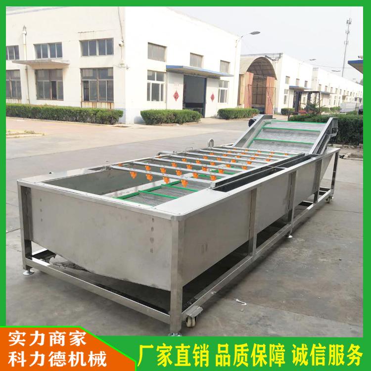 酱菜脱盐清洗机 连续式气泡脱盐清洗机 青花椒清洗机 全自动麻椒漂烫护色机 毛豆气泡清洗机