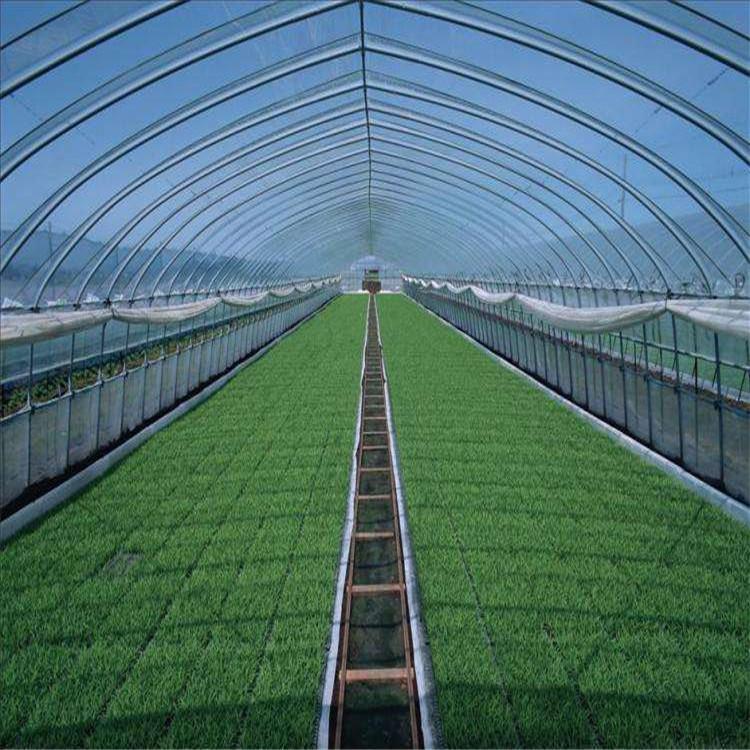 建造连栋薄膜温室   方立农业 低投入  连栋薄膜温室园区规划  服务至上