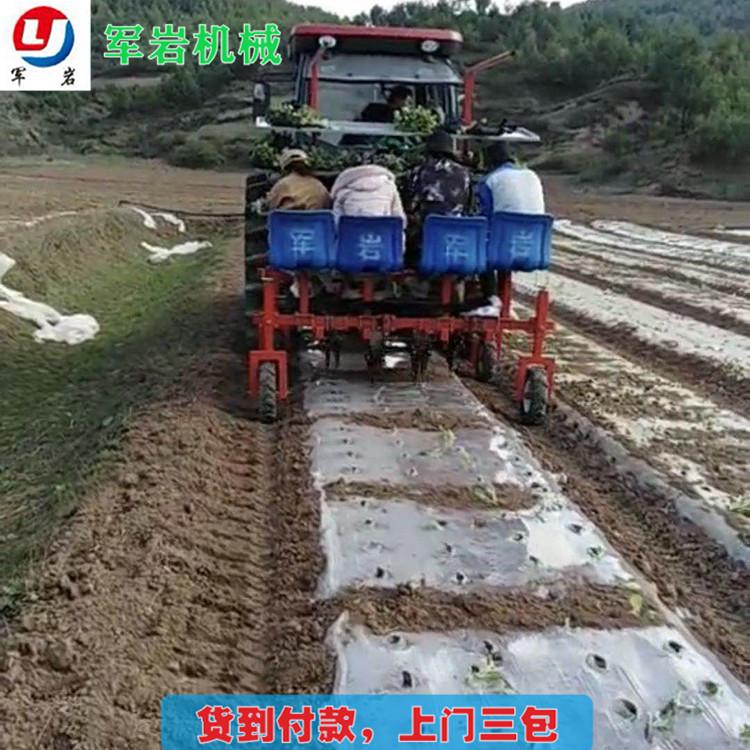 厂家推荐 叶菜移栽机 移栽机厂家 军岩移栽机