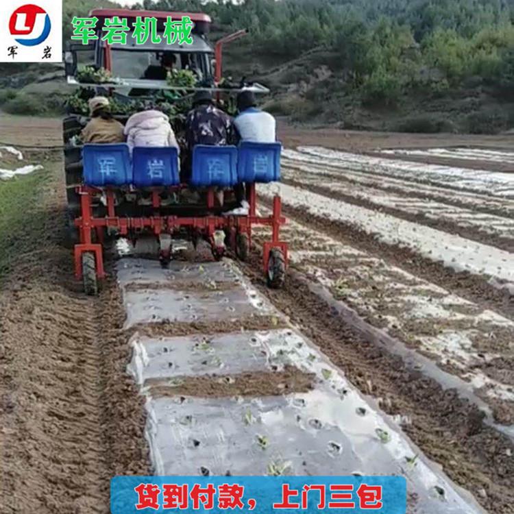 移栽机价格 欢迎选购 军岩移栽机 叶菜移栽机