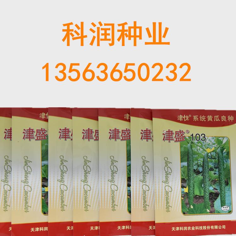 常年供应津盛103黄瓜种子基地供应 常年供应基地供应