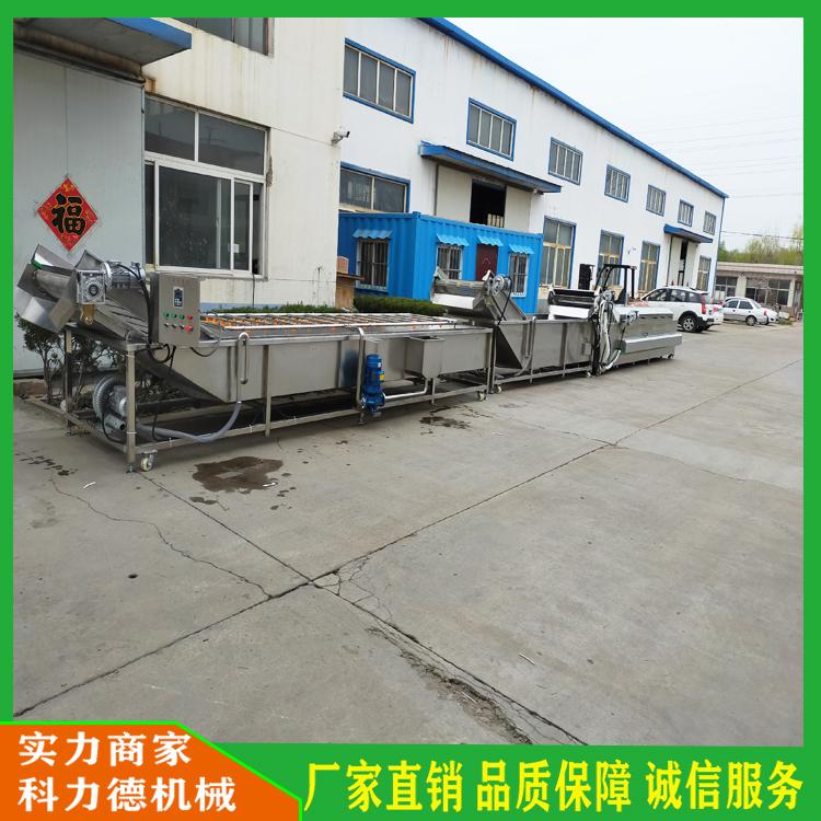 花椒清洗加工生产线  果蔬高压喷淋净洗机 花椒漂烫杀青机 气泡喷淋茴香清洗机 八角清洗机