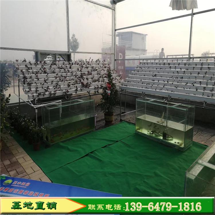 木耳菌类蔬菜大棚配件 青州温室骨架 迷你蔬菜花卉温室大棚厂家