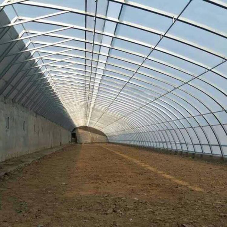 大棚搭建 建造大棚-连栋温室报价