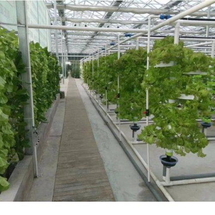 蔬菜大棚设计 樱桃种植温室-花卉温室大棚安装