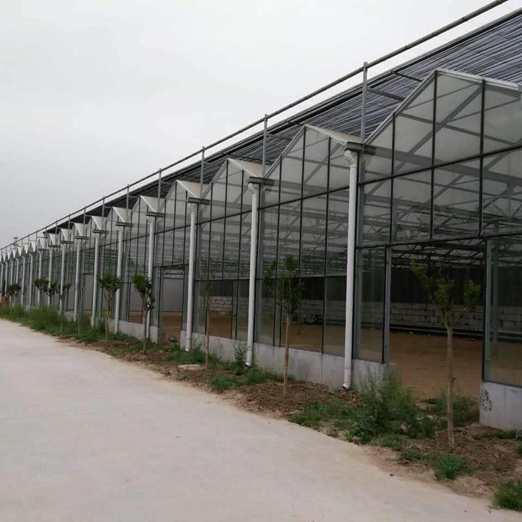 智能温室大棚工程 建造大棚-温室大棚承接