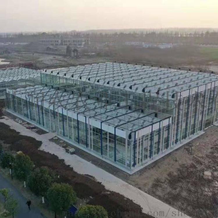 玻璃温室定制 玻璃温室 建造温室大棚