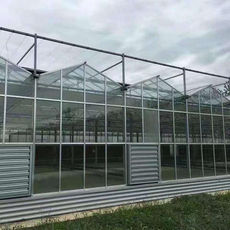 薄膜温室工程 薄膜温室 建造温室大棚