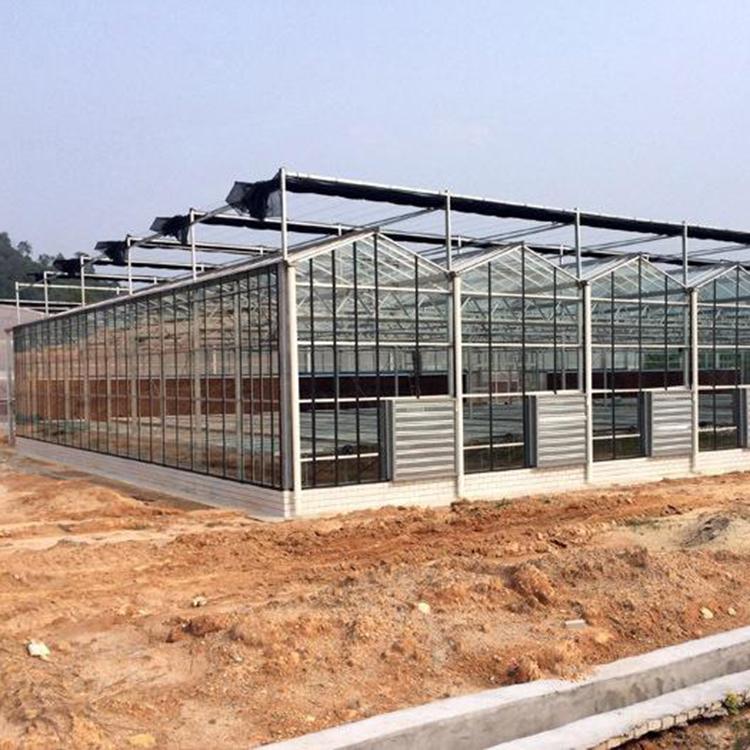 花卉市场温室  连栋温室承建 花卉温室建造