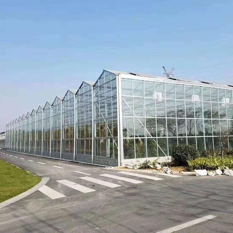 建造大棚  温室大棚承建 简易连栋温室