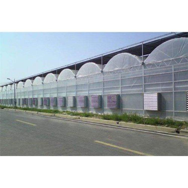花卉温室建造 樱桃种植温室-花卉温室大棚定制