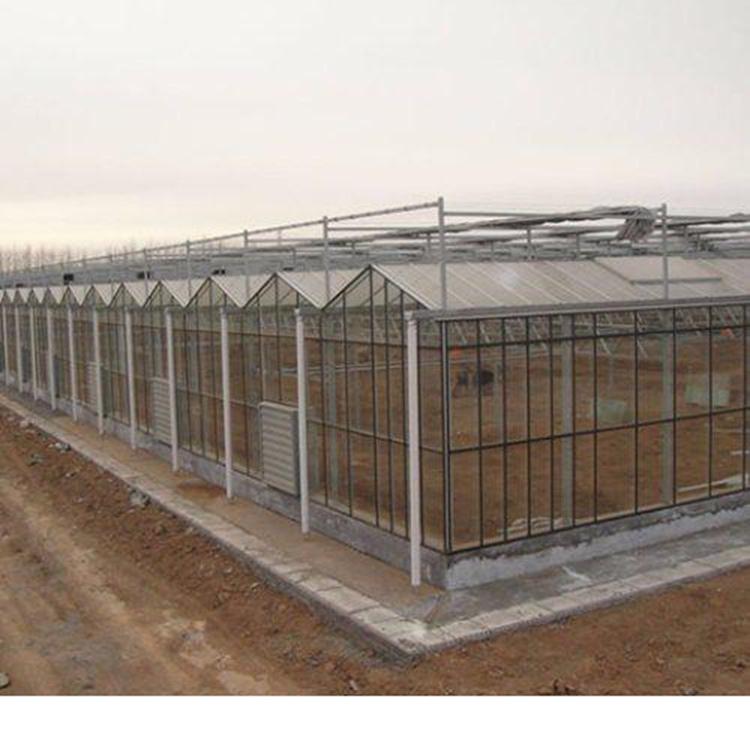 智能温室建设 建造大棚-单体温室施工