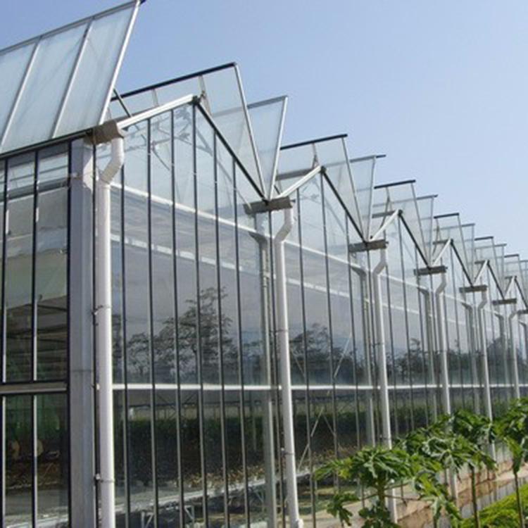 蔬菜大棚设计 蔬菜大棚工程-大棚温室承建
